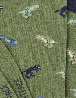 Men FatFace View All|1 Pack Dinosaur Socks