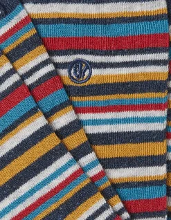 Men FatFace View All|1 Pack Max Multi Stripe Socks