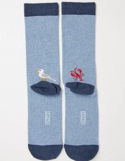 Men FatFace View All|1 Pack Sealife Stripe Socks