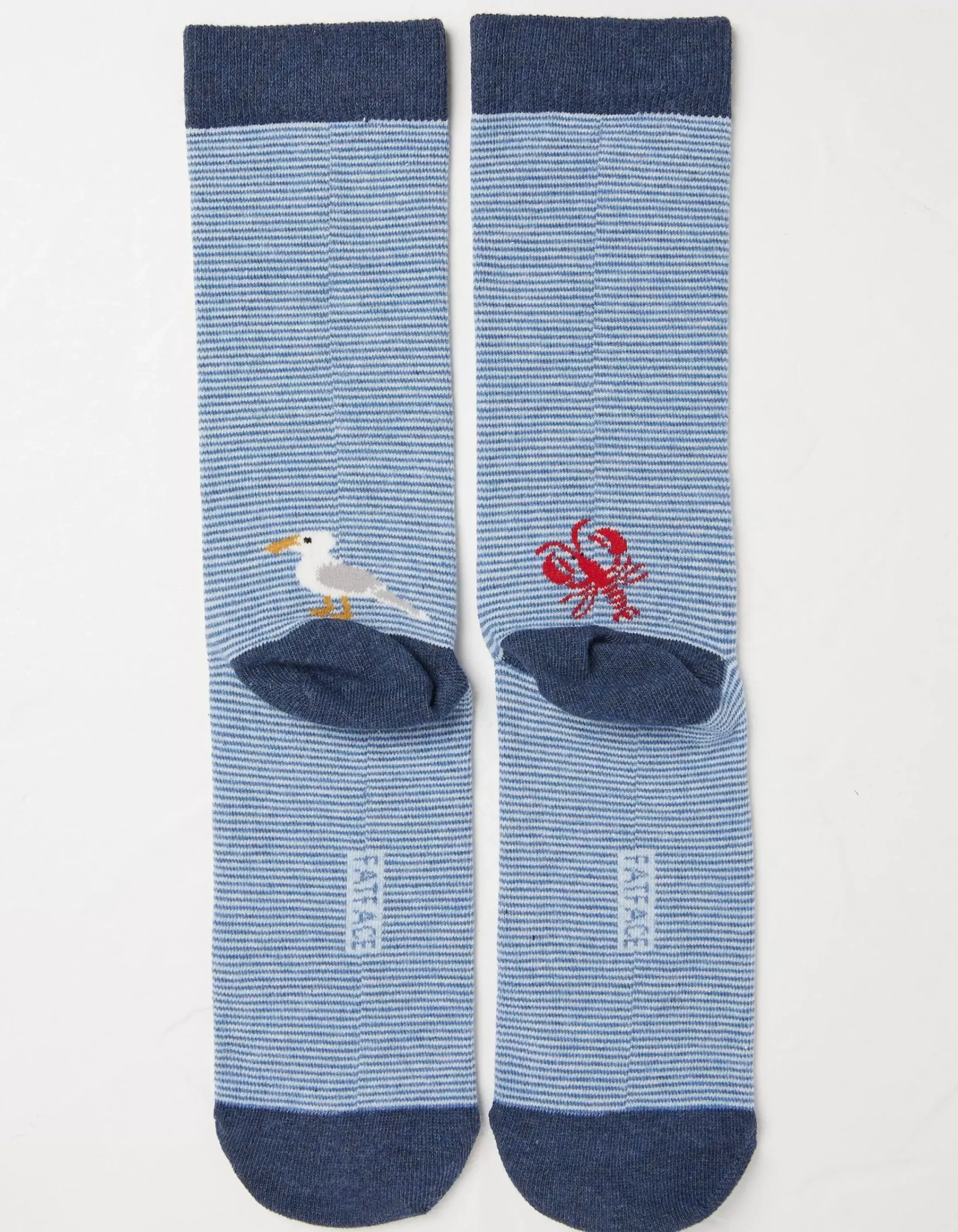 Men FatFace View All|1 Pack Sealife Stripe Socks