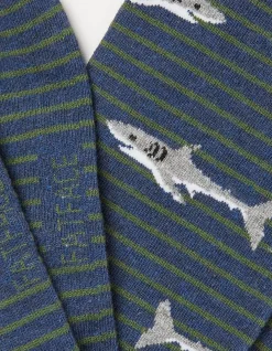 Men FatFace View All|1 Pack Shark Stripe Socks