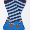 Kids FatFace View All|1 Pack Triceratops Socks