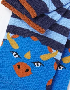 Kids FatFace View All|1 Pack Triceratops Socks