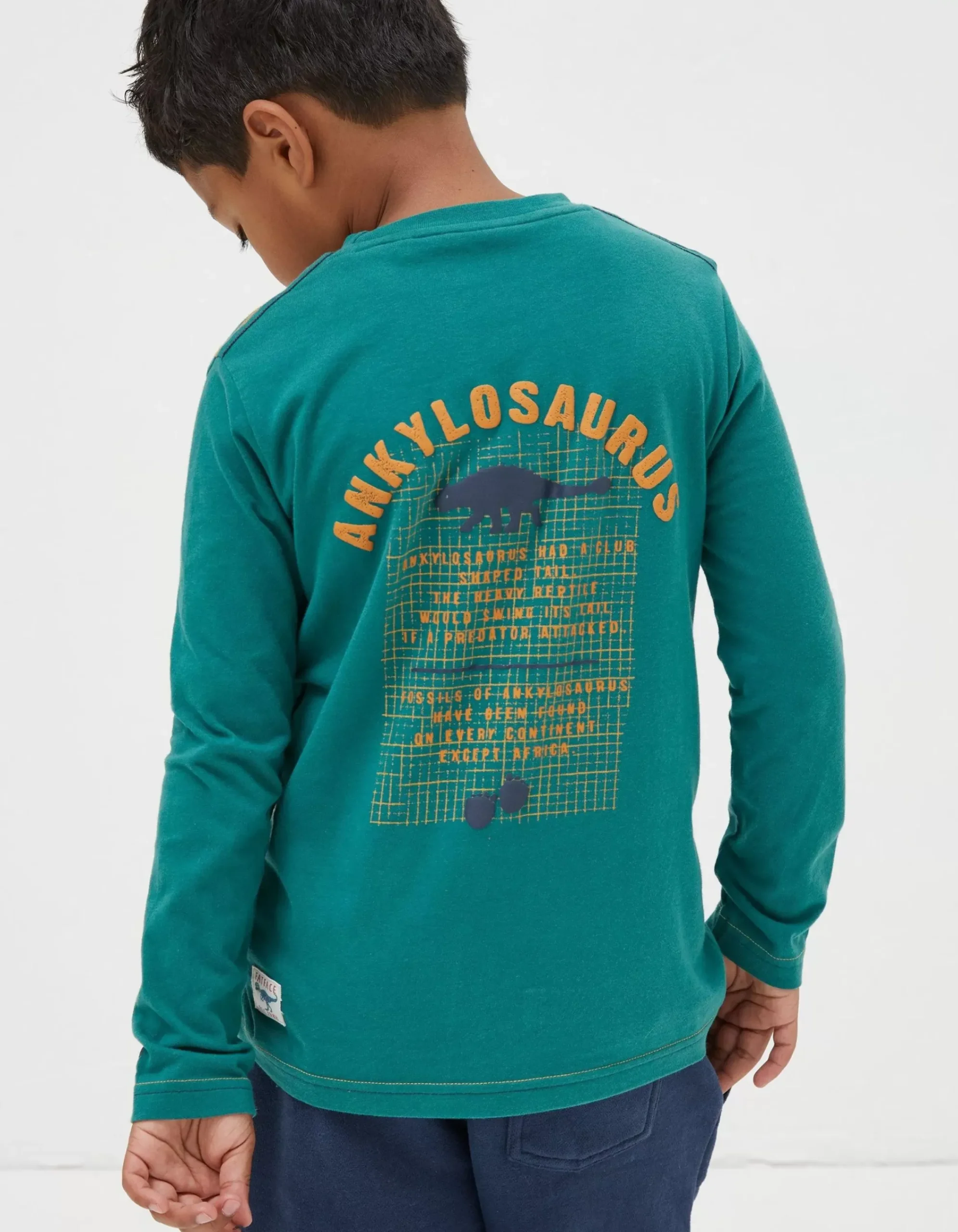 Boys FatFace View All|Ankylosaurus Graphic T Shirt