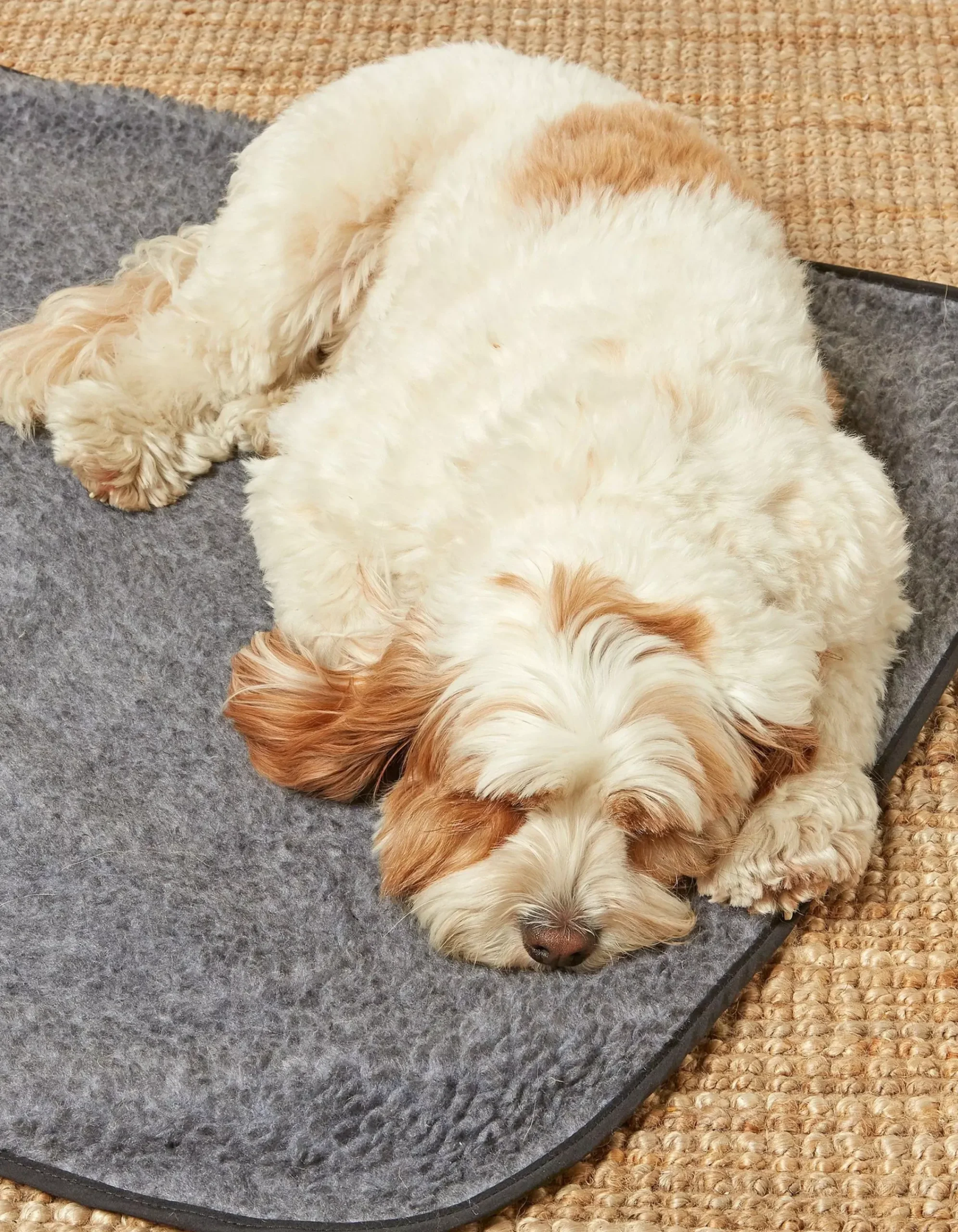 Gifts FatFace View All|Marching Dogs Pet Blanket