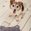Gifts FatFace View All|Marching Dogs Print Dog Toy