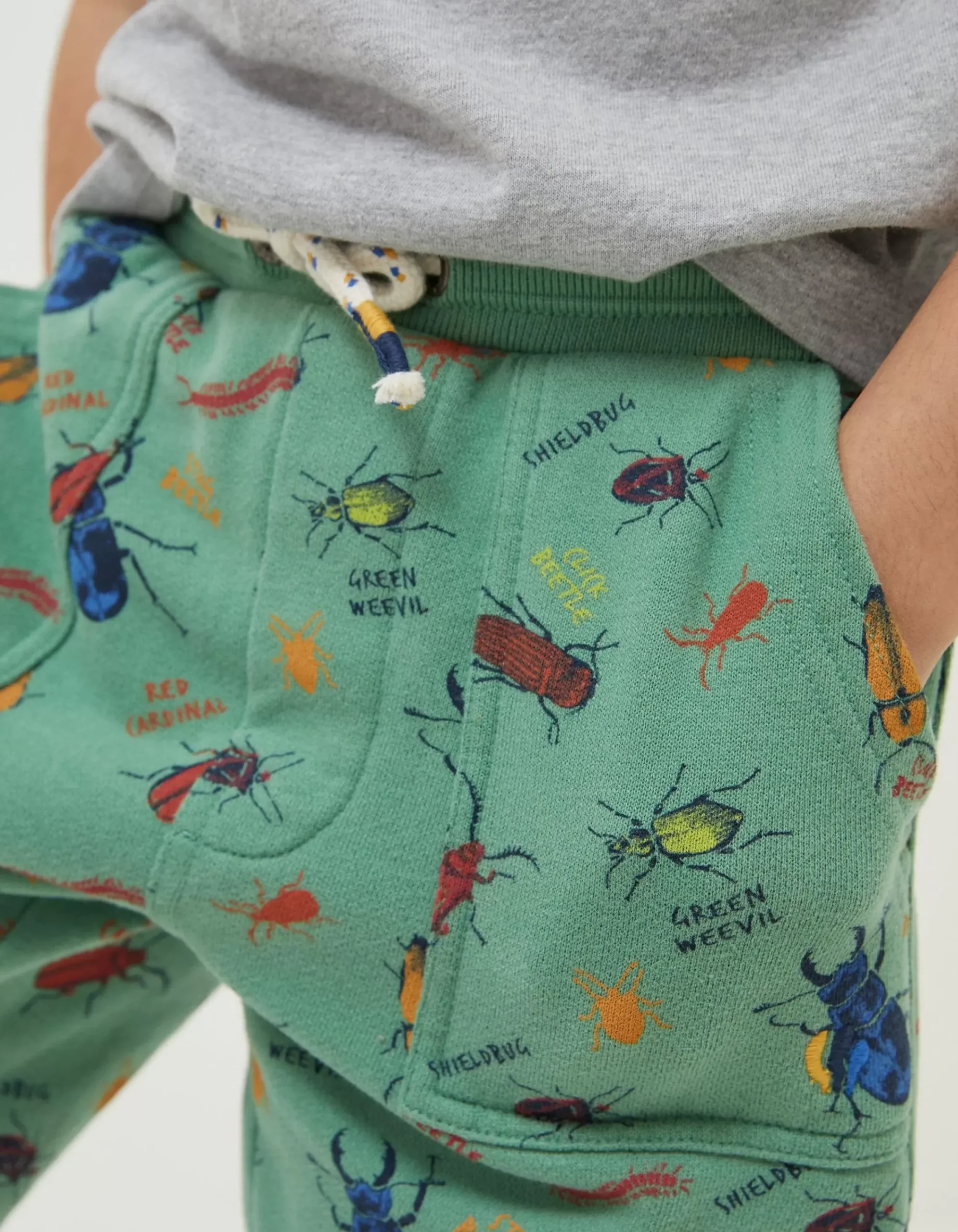 Boys FatFace View All|National Forest Eddie Shorts