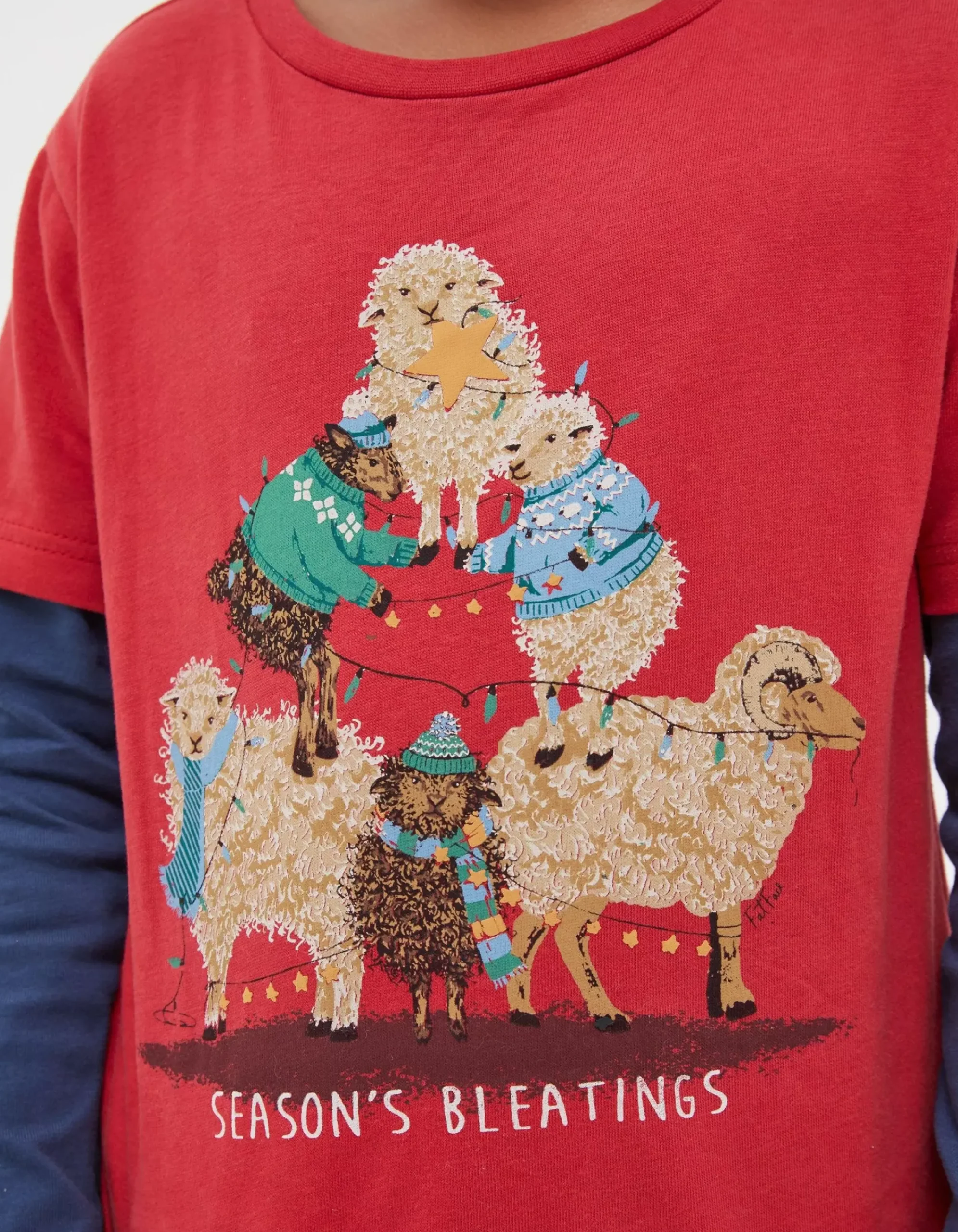 Boys FatFace View All|Shelter Stevie Sheep T-Shirt