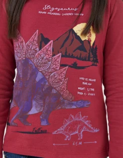 Boys FatFace View All|Stegosaurus Graphic T Shirt