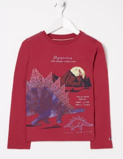 Boys FatFace View All|Stegosaurus Graphic T Shirt