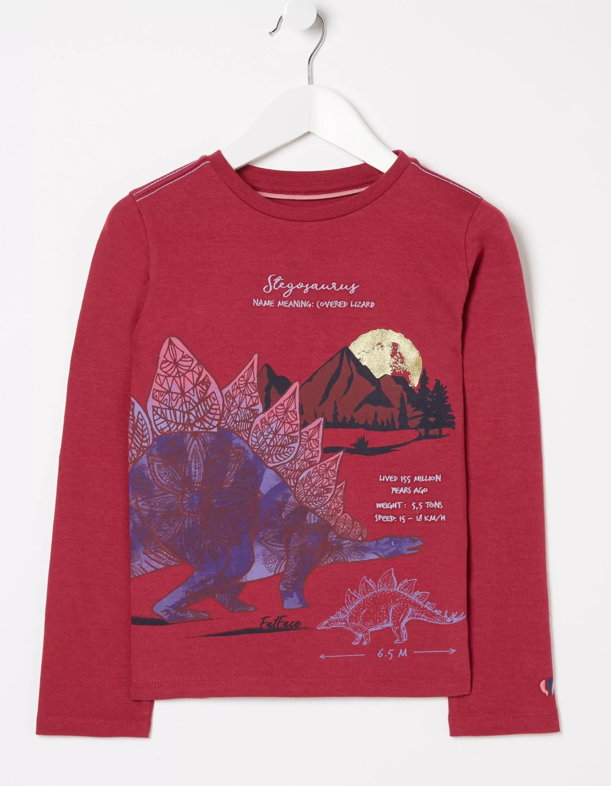 Boys FatFace View All|Stegosaurus Graphic T Shirt